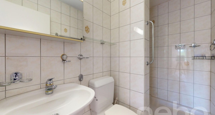 4.5-Zimmer-Attikawohnung mit grandioser Terrasse auf dem Mutschellen image 10