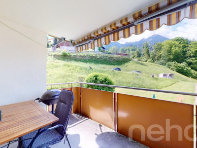 Charmante 4.5-Zimmer-Wohnung mit Bergpanorama in Oberterzen SG image 3