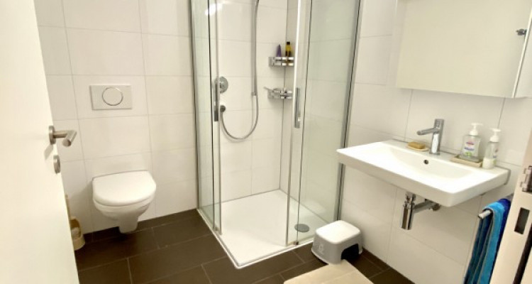 TOLLE MINERGIEWOHNUNG MIT BLICK AUF DEN PILATUS image 4