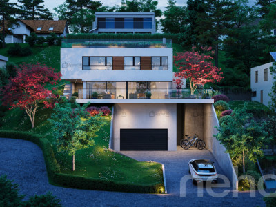 Villa darchitecte avec vue panoramique sur le lac et les montagnes image 4