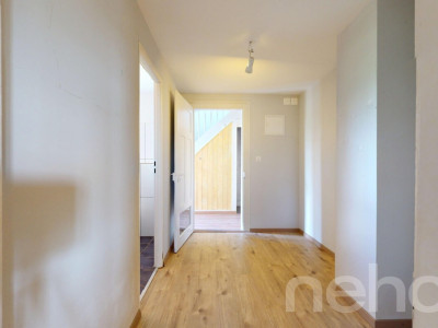 Zweifamilienhaus im Grünen mit 400 m² gewerblich nutzbarem Schuppen image 8