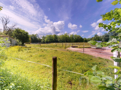 Zweifamilienhaus im Grünen mit 400 m² gewerblich nutzbarem Schuppen image 12