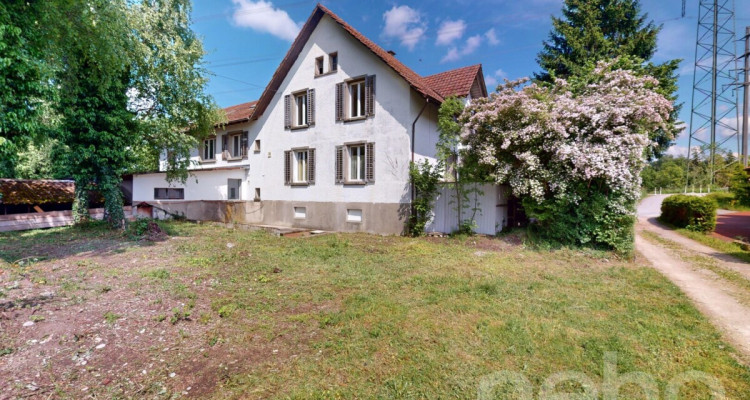 Zweifamilienhaus im Grünen mit 400 m² gewerblich nutzbarem Schuppen image 2