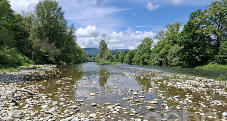 Zweifamilienhaus im Grünen mit 400 m² gewerblich nutzbarem Schuppen image 11