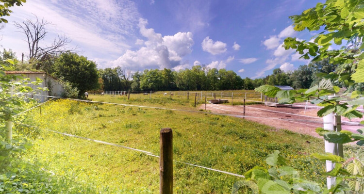 Zweifamilienhaus im Grünen mit 400 m² gewerblich nutzbarem Schuppen image 12