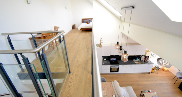 Vivre entre confort moderne et nature ? Duplex idyllique à 5 minutes de Morges image 8