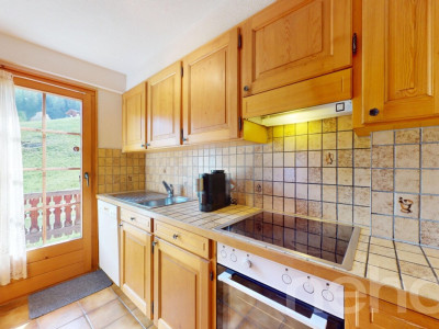 4 Vallées - Chalet de deux appartements à Bruson aux pieds des pistes image 3