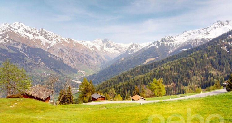 4 Vallées - Chalet de deux appartements à Bruson aux pieds des pistes image 11