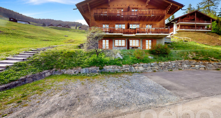 4 Vallées - Chalet de deux appartements à Bruson aux pieds des pistes image 12