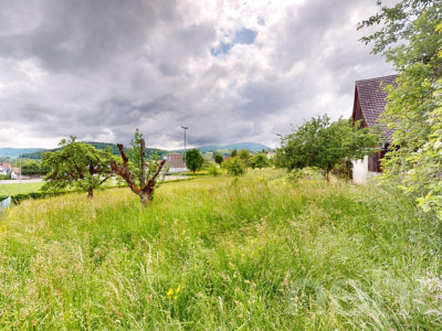 Ruhig gelegenes Baugrundstück mit Weitsicht in Arboldswil image 1