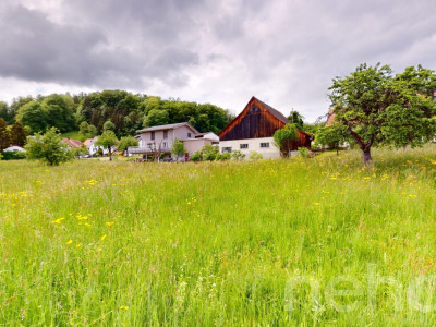 Ruhig gelegenes Baugrundstück mit Weitsicht in Arboldswil image 2