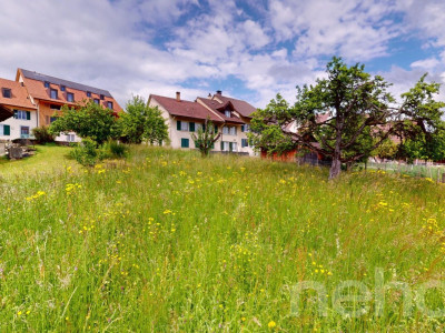 Ruhig gelegenes Baugrundstück mit Weitsicht in Arboldswil image 4