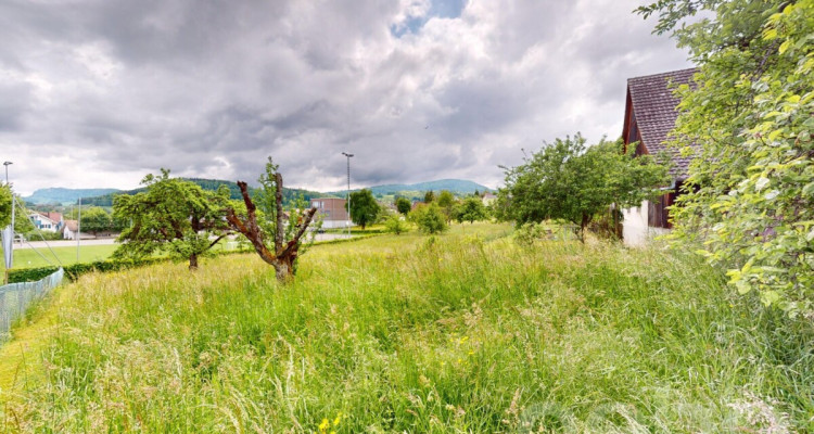 Ruhig gelegenes Baugrundstück mit Weitsicht in Arboldswil image 1