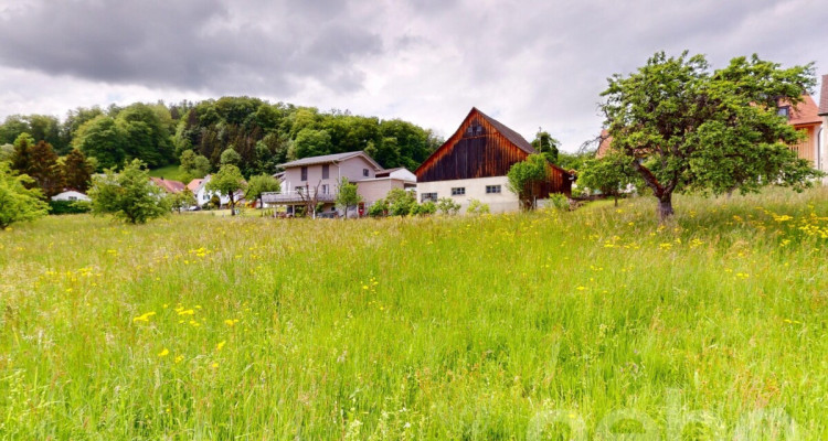 Ruhig gelegenes Baugrundstück mit Weitsicht in Arboldswil image 2