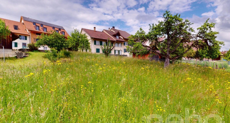Ruhig gelegenes Baugrundstück mit Weitsicht in Arboldswil image 4