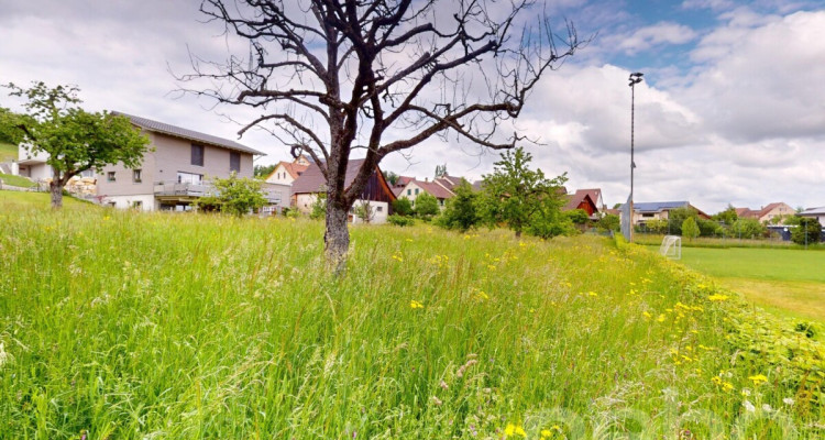 Ruhig gelegenes Baugrundstück mit Weitsicht in Arboldswil image 5