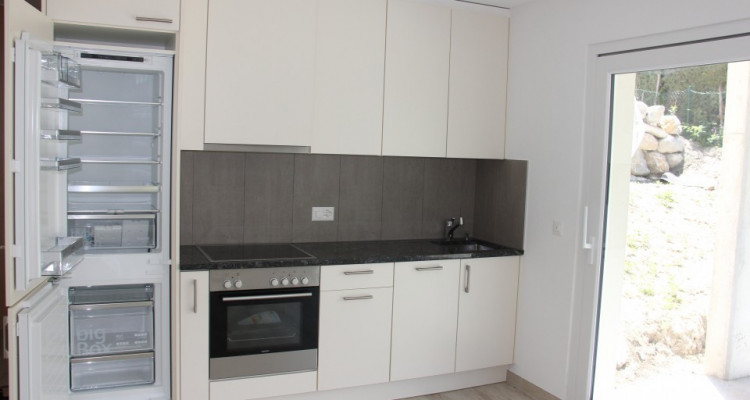 Appartement 3.5 pièces Rez avec terrasse couverte et jardin, Grône  image 4