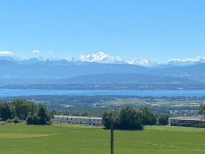 Villa jumelle de 270m2 utiles avec vue sur le lac, les Alpes et le Mont-Blanc image 2