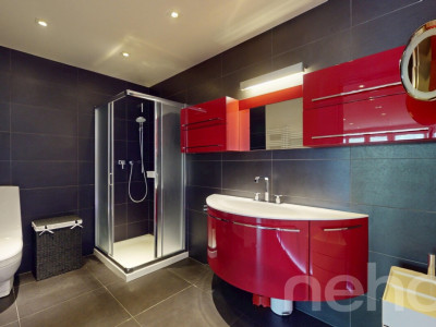 Loft rénové plein centre Champéry, vue panoramique image 7