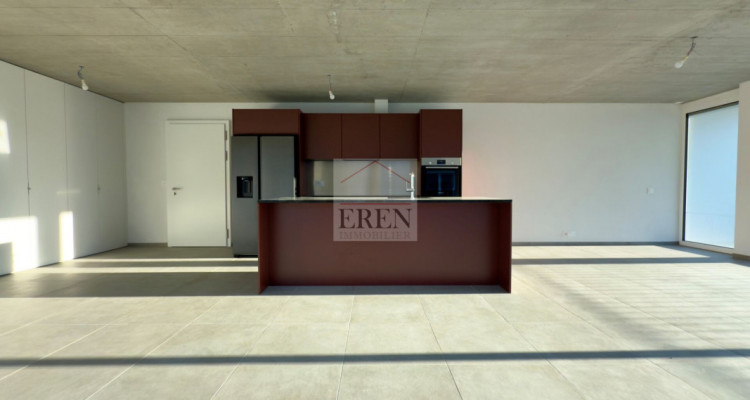 Attique panoramique 4,5 pièces entièrement vitrés avec balcon-terrasse en angle de 72m2 image 6