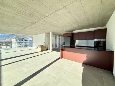 Attique exceptionnel 4,5 neuf avec vue panoramique et terrasse de 55 m2 sud-ouest image 7