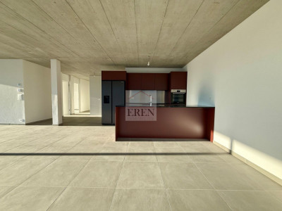 Attique exceptionnel 4,5 neuf avec vue panoramique et terrasse de 55 m2 sud-ouest image 9