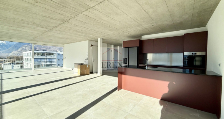 Attique exceptionnel 4,5 neuf avec vue panoramique et terrasse de 55 m2 sud-ouest image 7