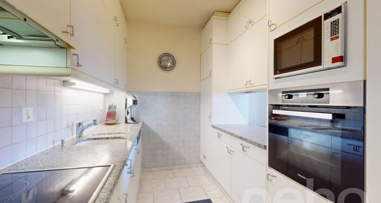 Superbe duplex avec vue sur les montagnes image 9