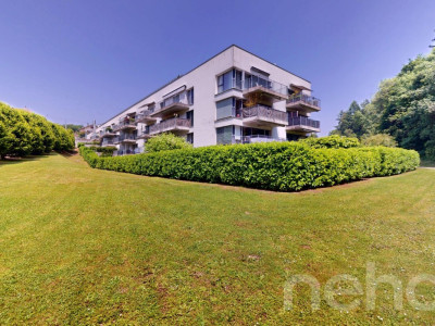 Bel appartement Minergie de 3,5 pièces au calme absolu image 1