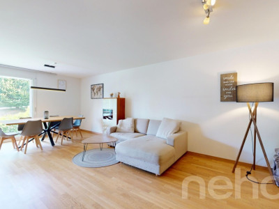 Bel appartement Minergie de 3,5 pièces au calme absolu image 2