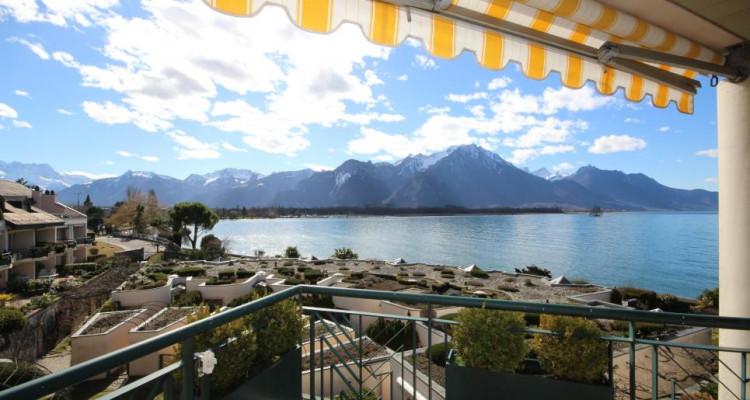 AU BORD DU LAC AVEC VUE PANORAMIQUE image 1