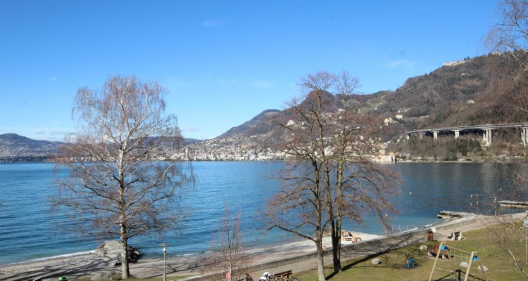 AU BORD DU LAC AVEC VUE PANORAMIQUE image 6