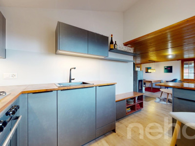 Un coin de paradis au bord du lac à Cudrefin image 9