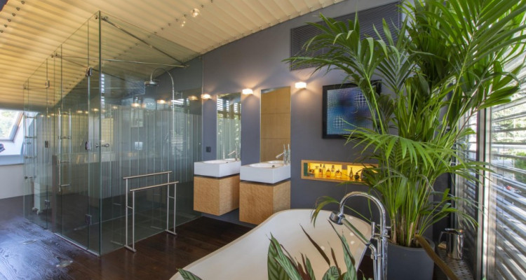 Magnifique maison contiguë dans un parc de 3000m2 image 4