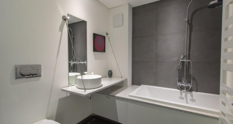 Magnifique maison contiguë dans un parc de 3000m2 image 9