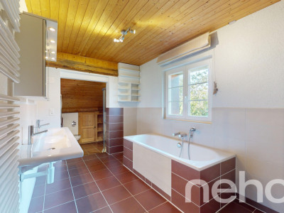 Havre de paix pour cette maison avec un grand jardin ! image 7