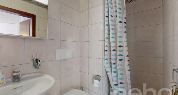 Appartement rénové de 4,5 pièces avec vue  sur le lac ! image 10