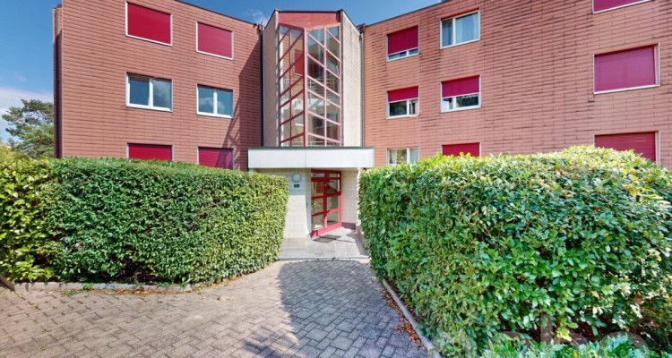 Appartement rénové de 4,5 pièces avec vue  sur le lac ! image 12