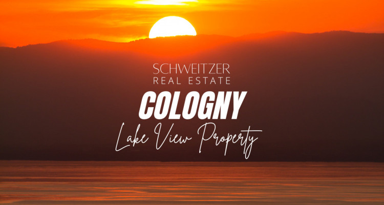 OFF MARKET - VILLA  VUE LAC / PISCINE image 1