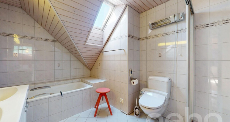 Idyllisches 5-Zimmer-Haus mit Gartenparadies an der Dünnern image 7