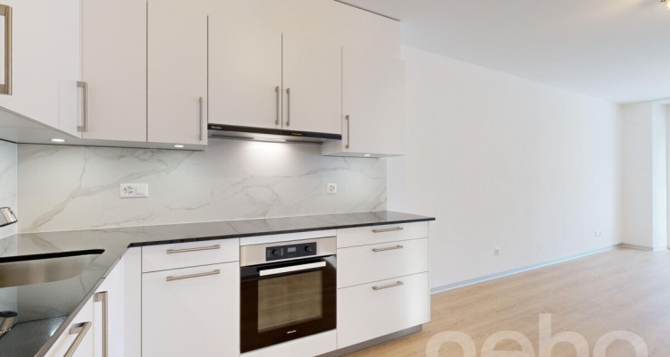 Magnifique appartement neuf en RDC de 3.5p avec terrasse! image 5