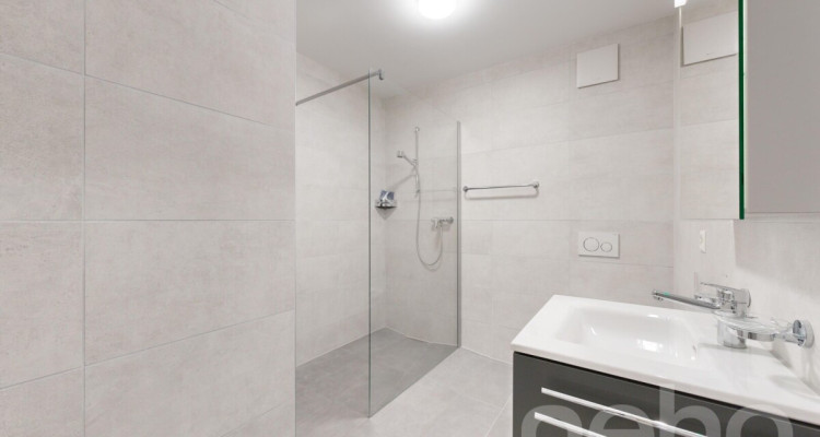 Magnifique appartement neuf en RDC de 3.5p avec terrasse! image 10