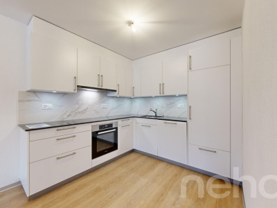 Superbe appartement de 3.5p orienté sud-ouest dans bâtiment historique image 5