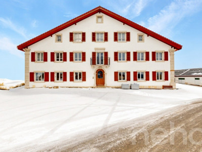 Superbe appartement de 3.5p orienté sud-ouest dans bâtiment historique image 3