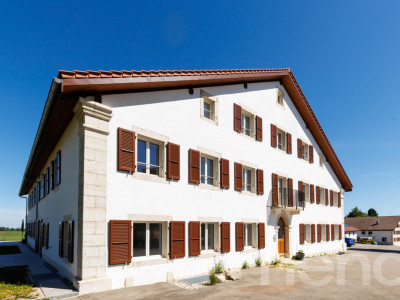 Superbe appartement de 3.5p orienté sud-ouest dans bâtiment historique image 12