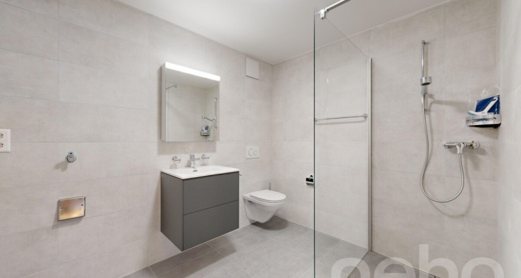 Superbe appartement de 3.5p orienté sud-ouest dans bâtiment historique image 10