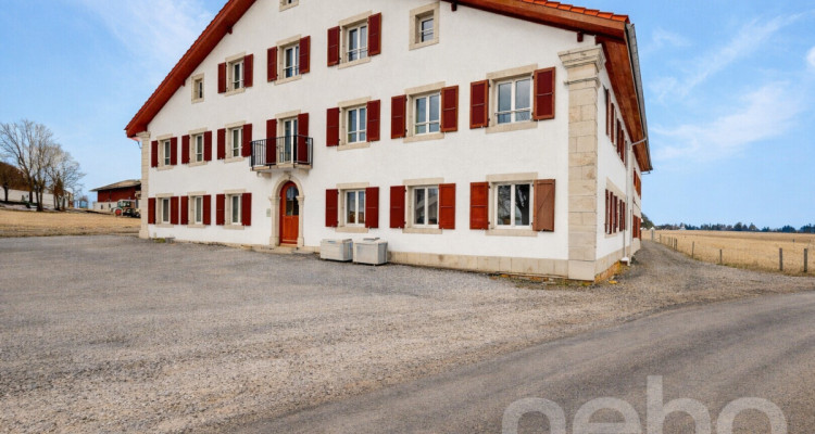 Superbe appartement de 3.5p orienté sud-ouest dans bâtiment historique image 12