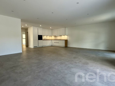 Spacieux attique neuf avec balcon habitable image 7