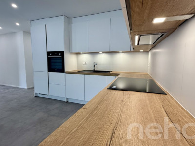 Spacieux attique neuf avec balcon habitable image 8