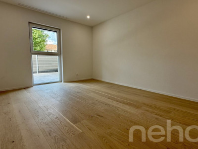 Spacieux attique neuf avec balcon habitable image 10